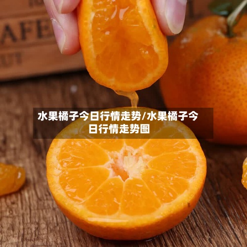 水果橘子今日行情走势/水果橘子今日行情走势图-第3张图片