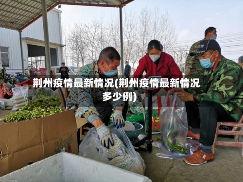 荆州疫情最新情况(荆州疫情最新情况多少例)