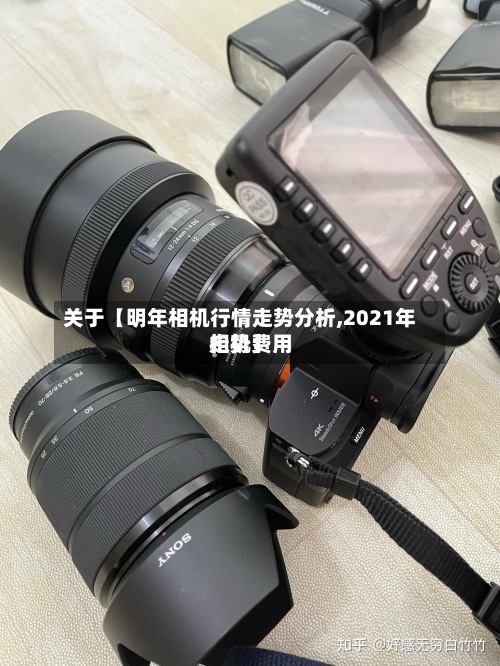 关于【明年相机行情走势分析,2021年相机费用走势】