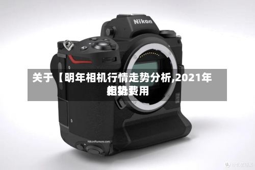关于【明年相机行情走势分析,2021年相机费用走势】-第3张图片