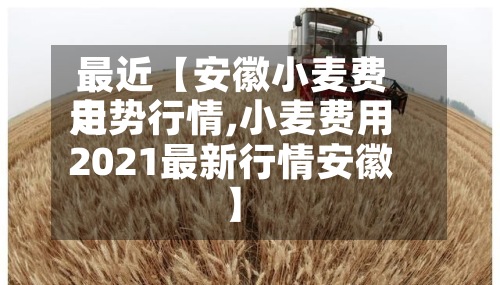 最近【安徽小麦费用走势行情,小麦费用2021最新行情安徽】