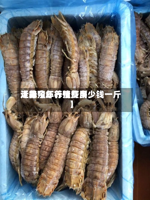 近来【养殖虾行情费用走势今年养殖虾多少钱一斤】