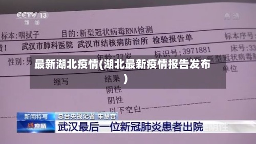 最新湖北疫情(湖北最新疫情报告发布)-第2张图片