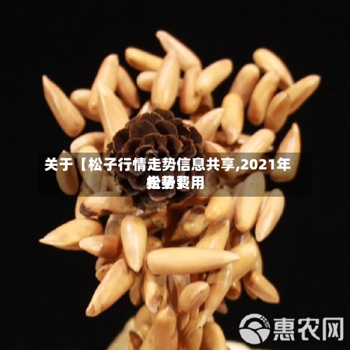 关于【松子行情走势信息共享,2021年松子费用走势】