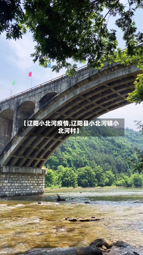 【辽阳小北河疫情,辽阳县小北河镇小北河村】-第3张图片