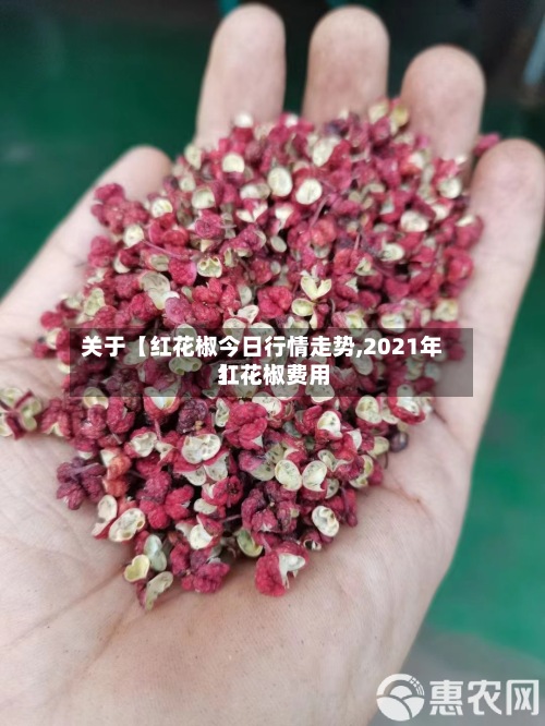 关于【红花椒今日行情走势,2021年红花椒费用】-第2张图片