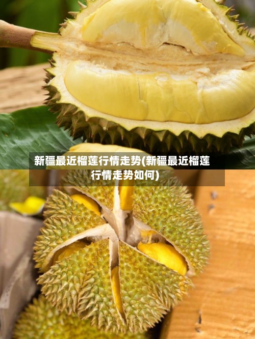 新疆最近榴莲行情走势(新疆最近榴莲行情走势如何)-第3张图片