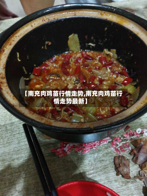 【南充肉鸡苗行情走势,南充肉鸡苗行情走势最新】-第2张图片