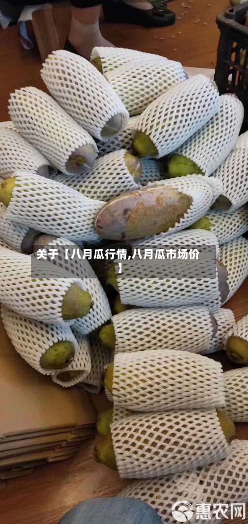 关于【八月瓜行情,八月瓜市场价】-第3张图片