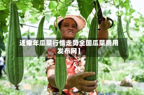 近来【今年瓜菜行情走势全国瓜菜费用发布网】-第2张图片
