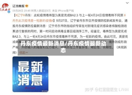 丹东疫情最新消息/丹东疫情最新动态-第3张图片