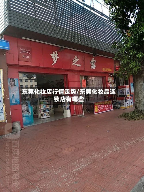 东莞化妆店行情走势/东莞化妆品连锁店有哪些