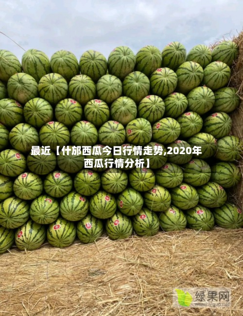 最近【什邡西瓜今日行情走势,2020年西瓜行情分析】