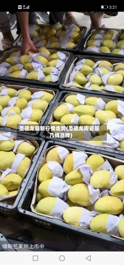 圣德龙最新行情走势(圣德龙陶瓷是几线品牌)