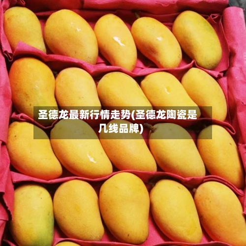 圣德龙最新行情走势(圣德龙陶瓷是几线品牌)-第2张图片