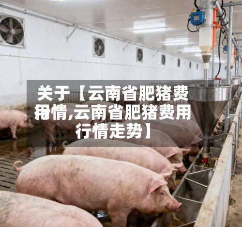 关于【云南省肥猪费用行情,云南省肥猪费用行情走势】-第2张图片