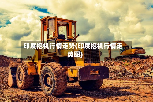 印度挖机行情走势(印度挖机行情走势图)