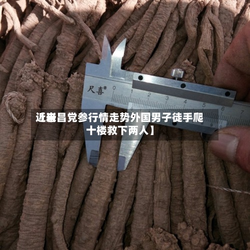 近来【岩昌党参行情走势外国男子徒手爬十楼救下两人】-第2张图片