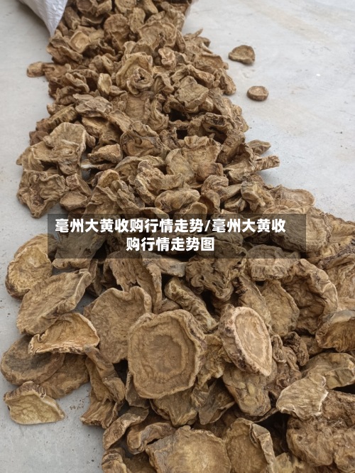 毫州大黄收购行情走势/毫州大黄收购行情走势图-第3张图片