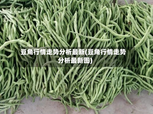 豆角行情走势分析最新(豆角行情走势分析最新图)-第2张图片