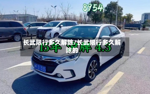 长武限行多久解除/长武限行多久解除的-第3张图片