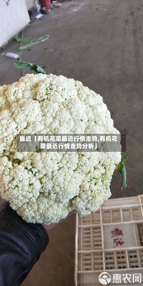 最近【有机花菜最近行情走势,有机花菜最近行情走势分析】-第3张图片