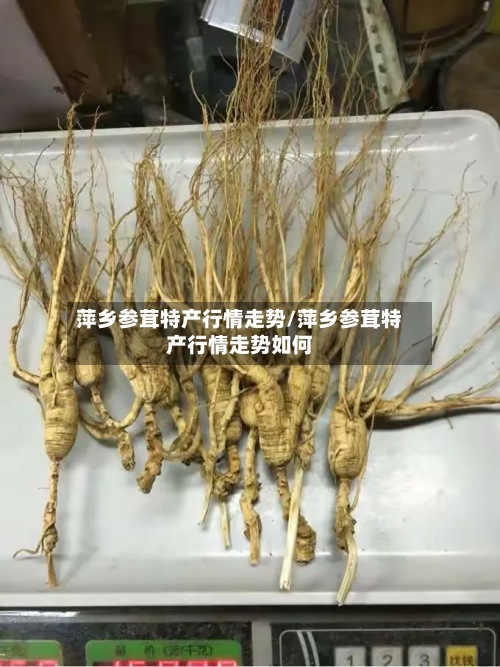 萍乡参茸特产行情走势/萍乡参茸特产行情走势如何-第3张图片