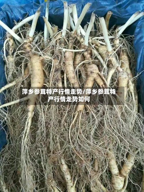 萍乡参茸特产行情走势/萍乡参茸特产行情走势如何-第2张图片