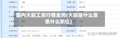 国内大副工资行情走势(大副是什么意思什么职位)