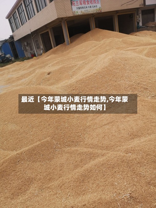 最近【今年蒙城小麦行情走势,今年蒙城小麦行情走势如何】