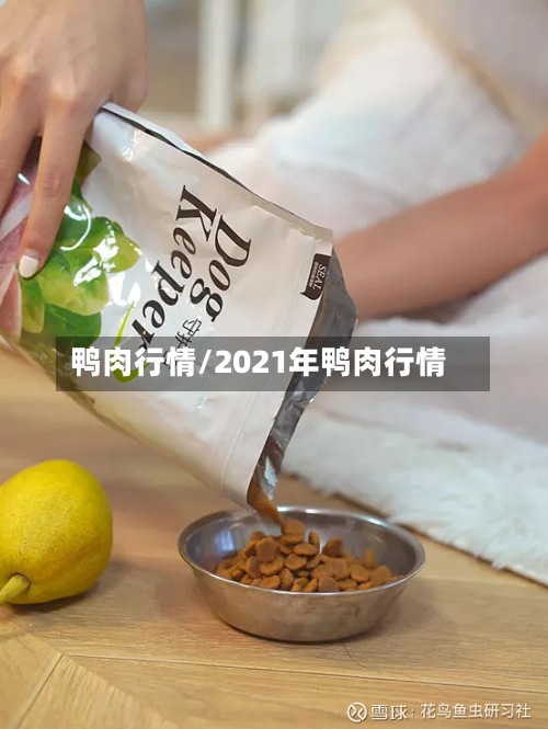 鸭肉行情/2021年鸭肉行情-第2张图片