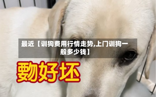 最近【训狗费用行情走势,上门训狗一般多少钱】
