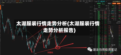 太湖服装行情走势分析(太湖服装行情走势分析报告)-第3张图片