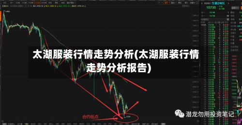 太湖服装行情走势分析(太湖服装行情走势分析报告)-第2张图片