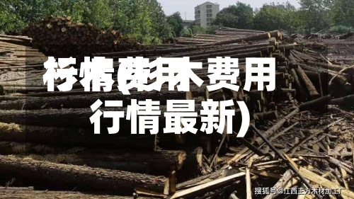 杉木费用行情(杉木费用行情最新)-第3张图片