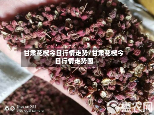 甘肃花椒今日行情走势/甘肃花椒今日行情走势图