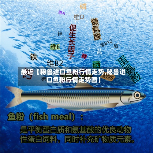 最近【秘鲁进口鱼粉行情走势,秘鲁进口鱼粉行情走势图】