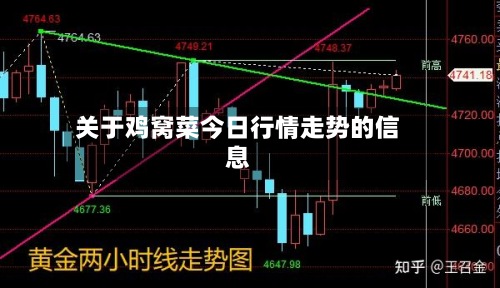 关于鸡窝菜今日行情走势的信息-第3张图片