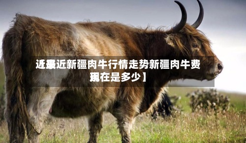 近来【最近新疆肉牛行情走势新疆肉牛费用现在是多少】