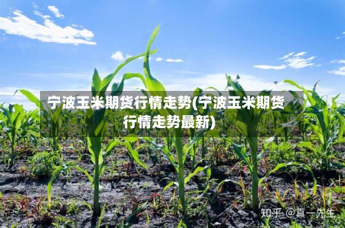 宁波玉米期货行情走势(宁波玉米期货行情走势最新)-第2张图片