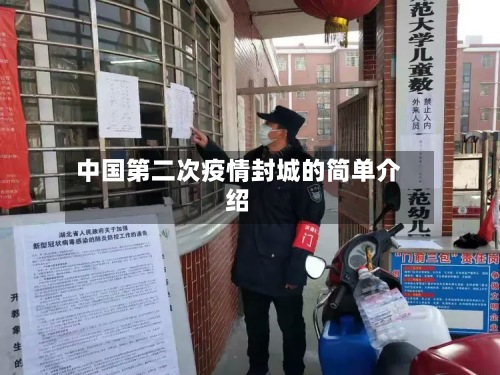 中国第二次疫情封城的简单介绍