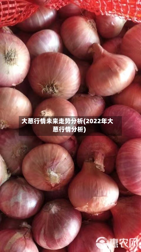 大葱行情未来走势分析(2022年大葱行情分析)