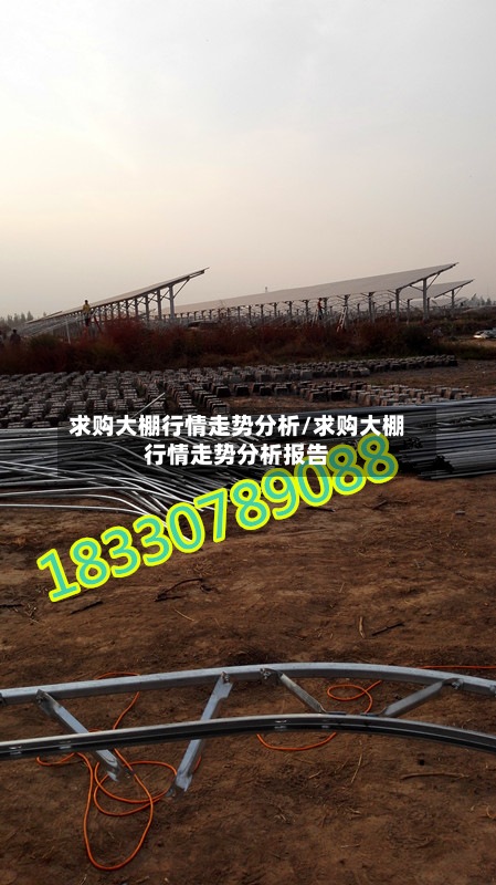 求购大棚行情走势分析/求购大棚行情走势分析报告-第3张图片