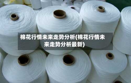 棉花行情未来走势分析(棉花行情未来走势分析最新)-第3张图片