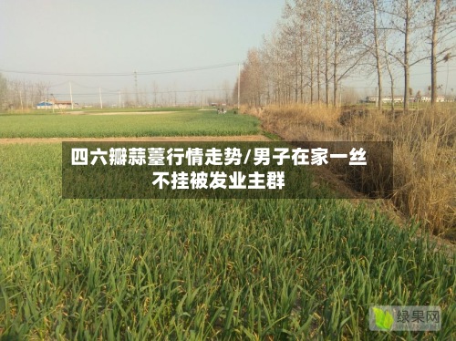 四六瓣蒜薹行情走势/男子在家一丝不挂被发业主群-第2张图片