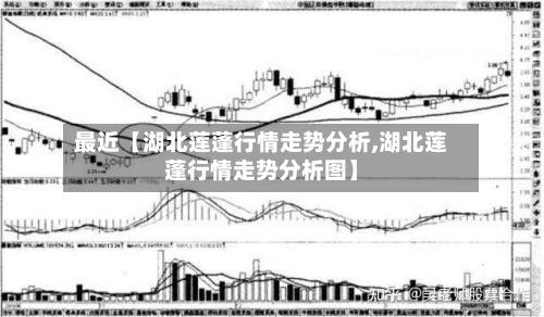最近【湖北莲蓬行情走势分析,湖北莲蓬行情走势分析图】-第3张图片