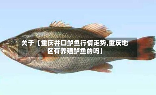 关于【重庆井口鲈鱼行情走势,重庆地区有养殖鲈鱼的吗】