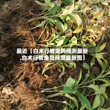 最近【白术行情走势预测最新,白术行情走势预测最新图】