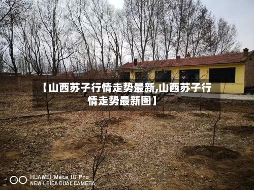 【山西苏子行情走势最新,山西苏子行情走势最新图】-第3张图片