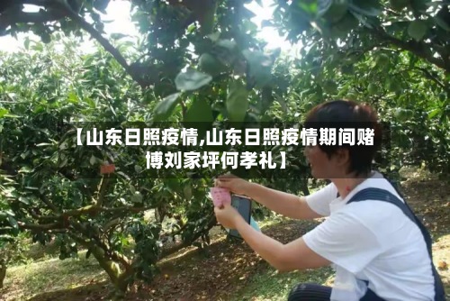 【山东日照疫情,山东日照疫情期间赌博刘家坪何孝礼】-第3张图片
